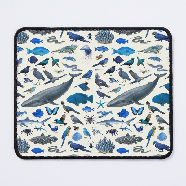 Item preview, Wild World in Blue Retro Wildlife Identification Chart designed and sold by kakarikihill.