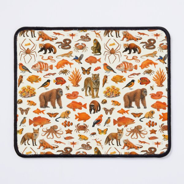 Item preview, Wild World in Orange Retro Wildlife Identification Chart designed and sold by kakarikihill.