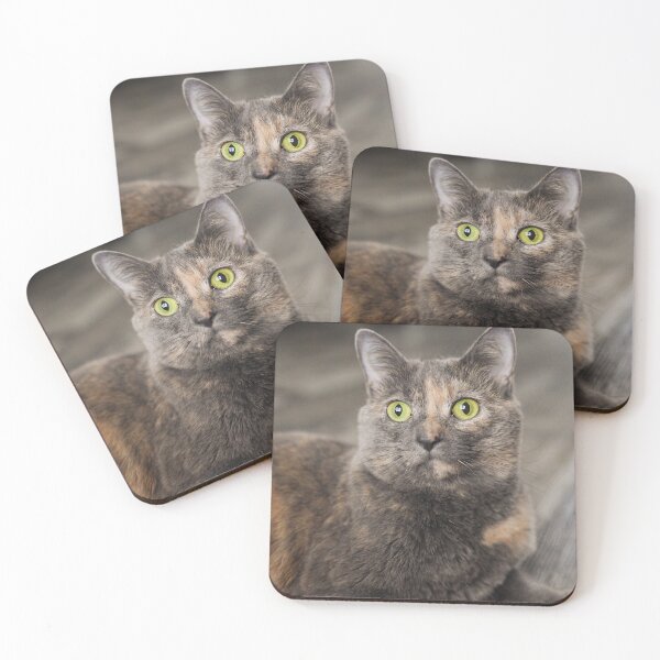 Item preview, Tortoiseshell Cat Portrait Fine Art Pet Photography designed and sold by MDCCo.