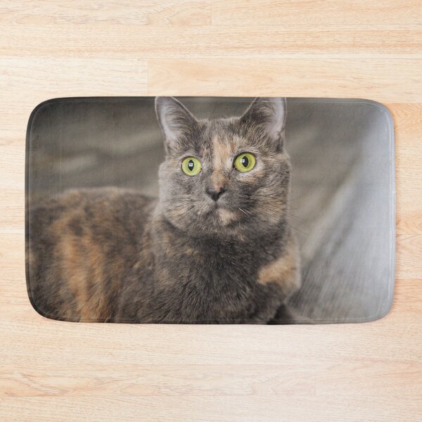 Item preview, Tortoiseshell Cat Portrait Fine Art Pet Photography designed and sold by MDCCo.