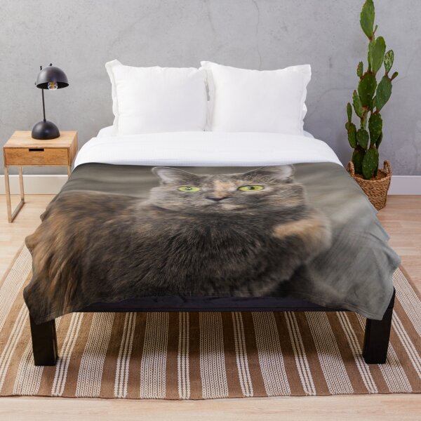 Item preview, Tortoiseshell Cat Portrait Fine Art Pet Photography designed and sold by MDCCo.