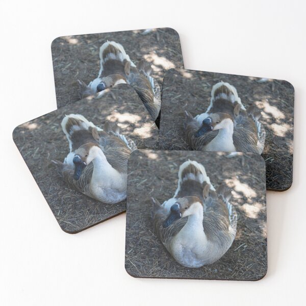 Item preview, African Goose Close Up Wildlife Photography designed and sold by MDCCo.