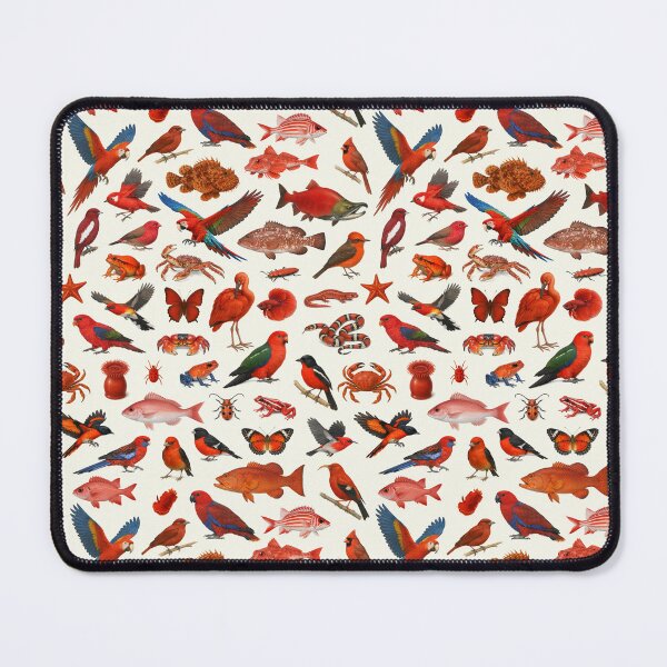 Item preview, Wild World in Red Retro Wildlife Identification Chart designed and sold by kakarikihill.