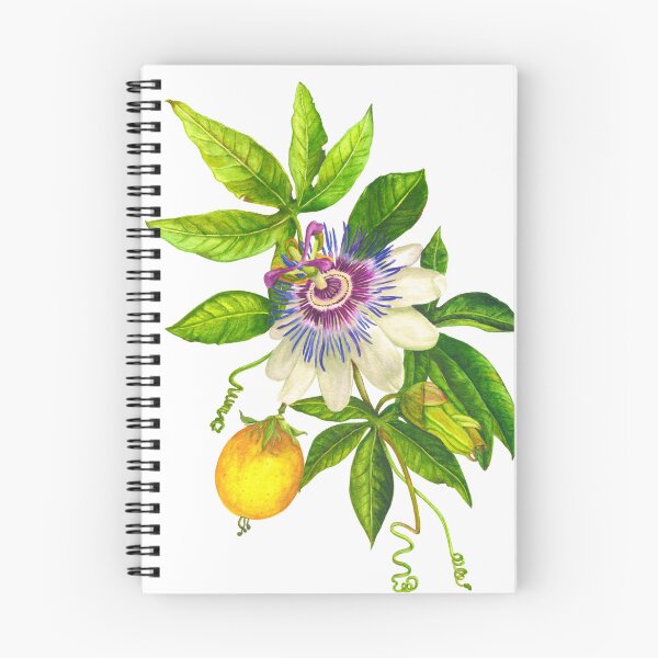 Item preview,  Passion fruit flower designed and sold by artluzfabiola.