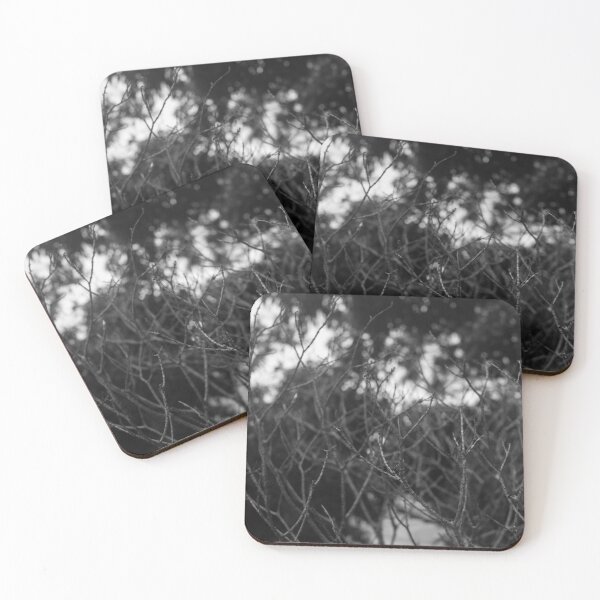 Item preview, B&W - Small Branches designed and sold by ROSE ANN BANILAR.