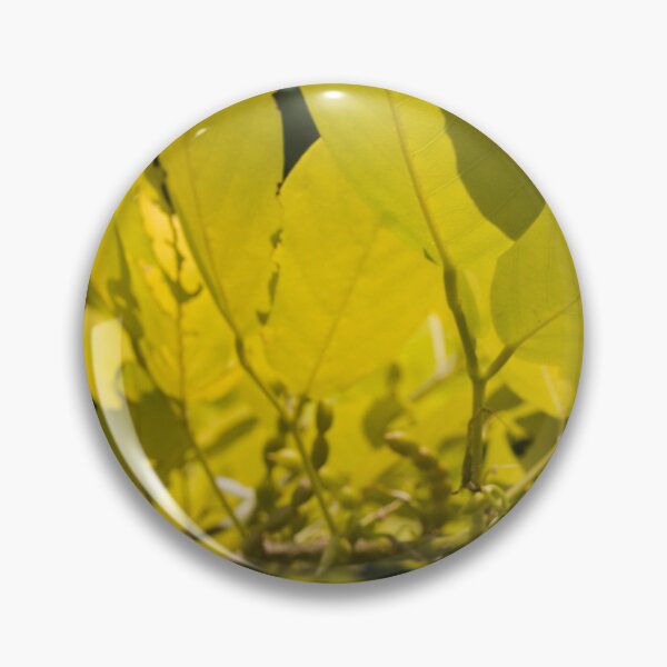 Item preview, Korean Legume Golden Tree designed and sold by ROSE ANN BANILAR.