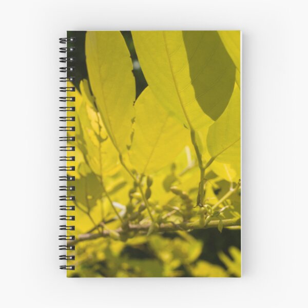 Item preview, Korean Legume Golden Tree designed and sold by ROSE ANN BANILAR.