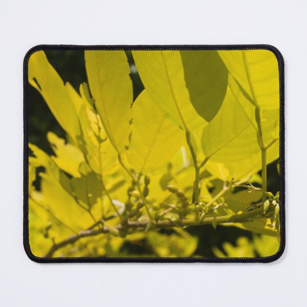 Item preview, Korean Legume Golden Tree designed and sold by ROSE ANN BANILAR.