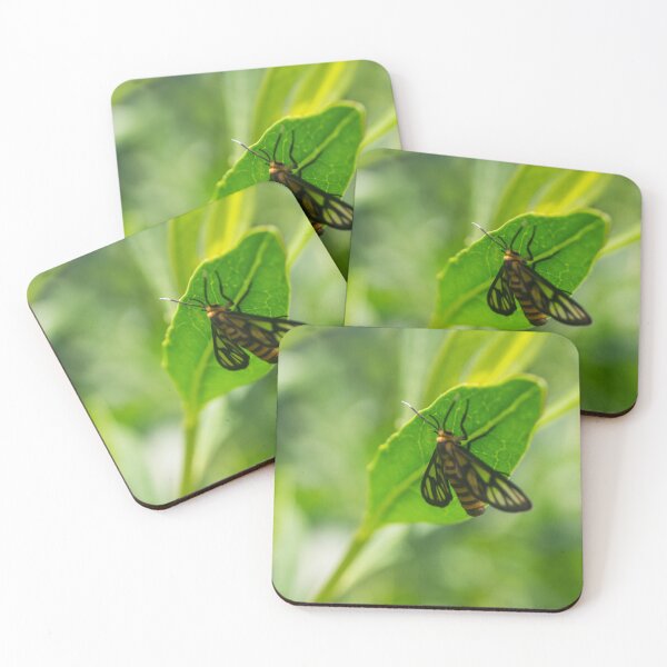 Item preview, Hübner's wasp moth designed and sold by ROSE ANN BANILAR.