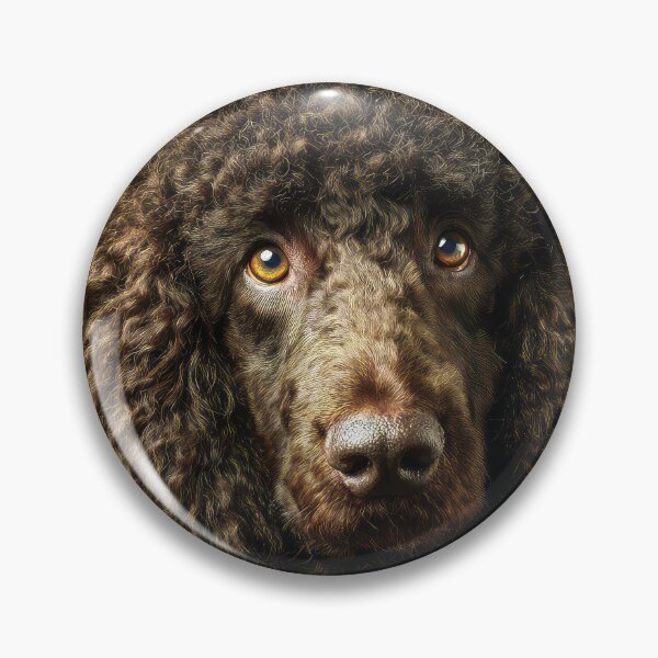 Item preview, Irish Water Spaniel Face designed and sold by Elisabeth Lucas.