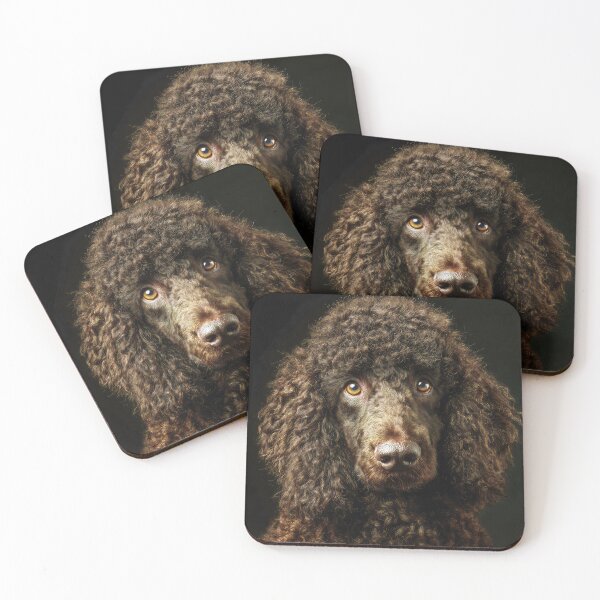 Item preview, Irish Water Spaniel Face designed and sold by Elisabeth Lucas.