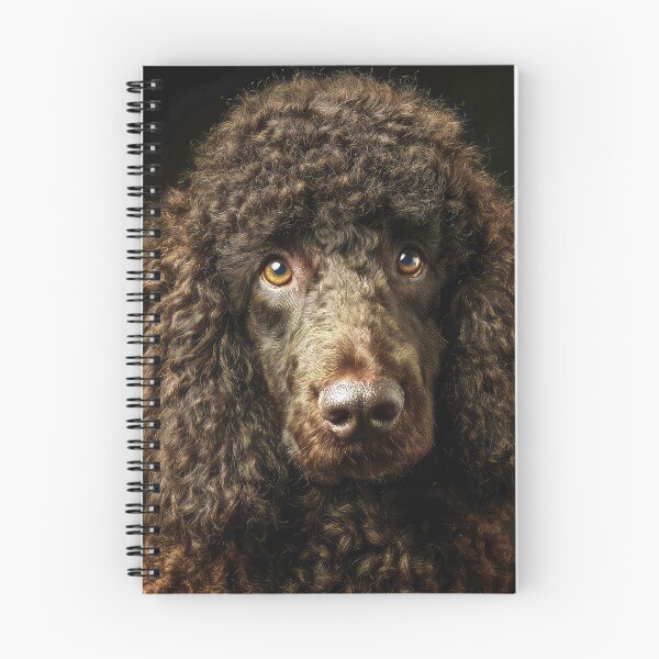 Item preview, Irish Water Spaniel Face designed and sold by Elisabeth Lucas.