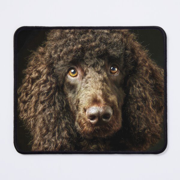 Item preview, Irish Water Spaniel Face designed and sold by Elisabeth Lucas.