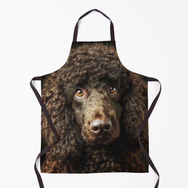 Item preview, Irish Water Spaniel Face designed and sold by Elisabeth Lucas.
