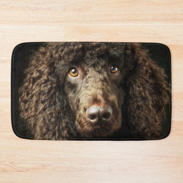 Item preview, Irish Water Spaniel Face designed and sold by Elisabeth Lucas.