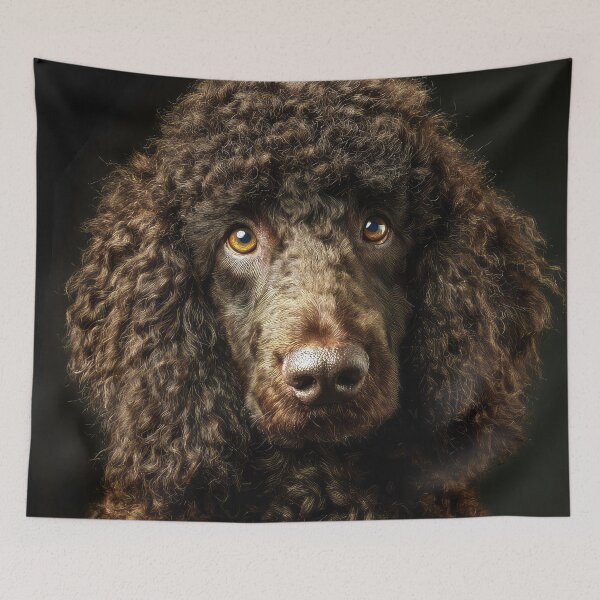 Item preview, Irish Water Spaniel Face designed and sold by Elisabeth Lucas.