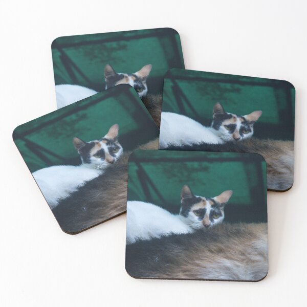 Item preview, Furry Cat designed and sold by ROSE ANN BANILAR.
