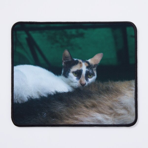 Item preview, Furry Cat designed and sold by ROSE ANN BANILAR.