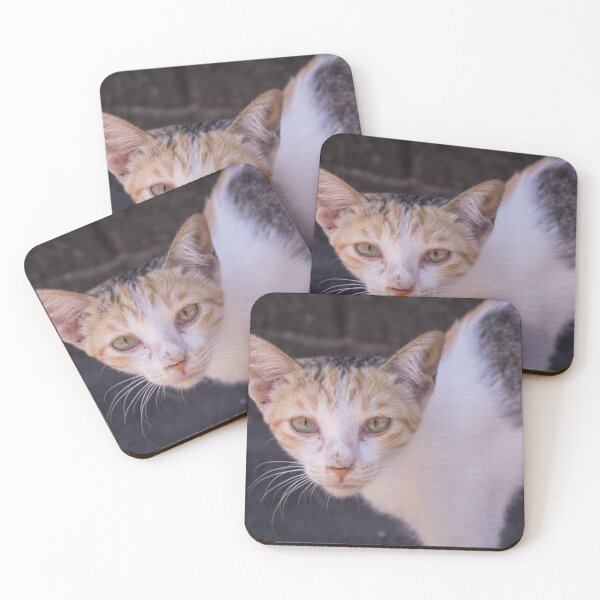Item preview, nice looking cat designed and sold by ROSE ANN BANILAR.