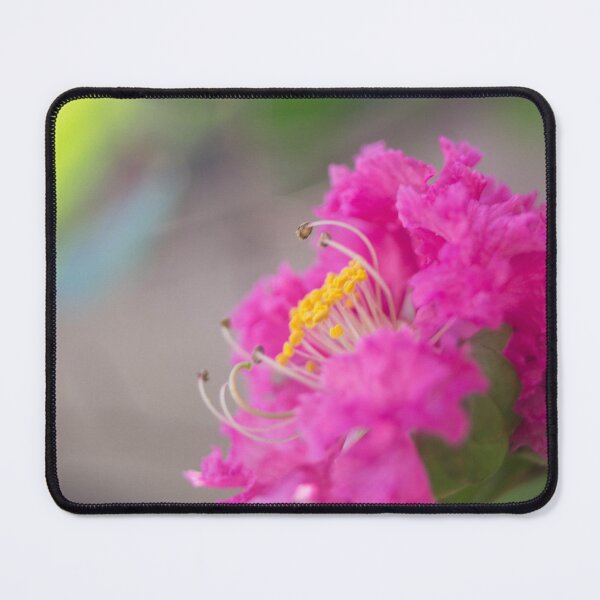 Item preview, Crepe-myrtle flowers designed and sold by ROSE ANN BANILAR.