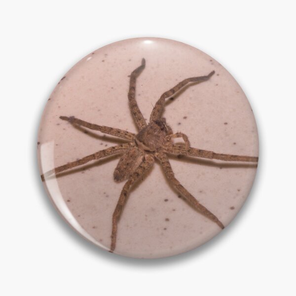 Item preview, Huntsman spider_02 designed and sold by ROSE ANN BANILAR.