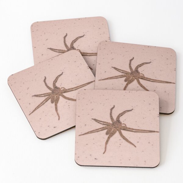 Item preview, Huntsman spider_02 designed and sold by ROSE ANN BANILAR.