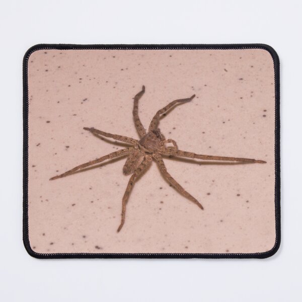 Item preview, Huntsman spider_02 designed and sold by ROSE ANN BANILAR.