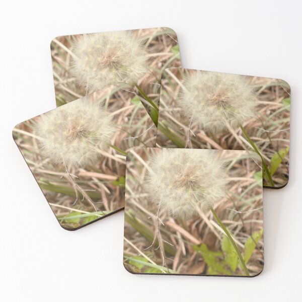 Item preview, Wild Salsify Seed Head in Natural Grass. designed and sold by Pearls1.