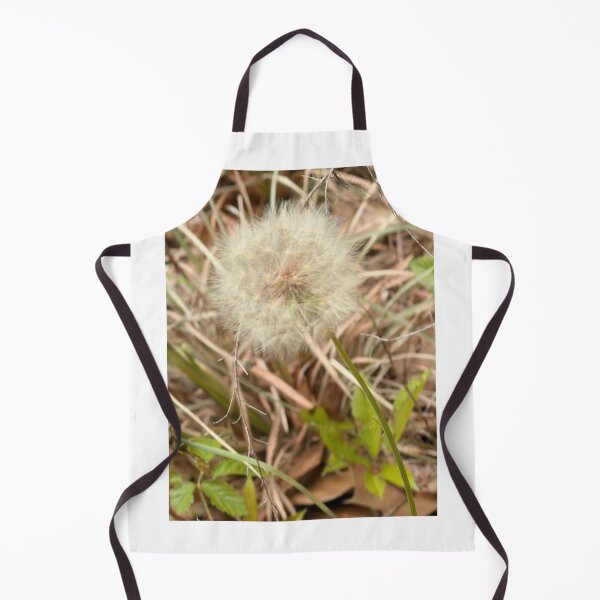 Item preview, Wild Salsify Seed Head in Natural Grass. designed and sold by Pearls1.