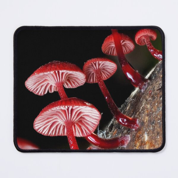 Item preview, Magical Cessna Aircraft Company eForest Mushroom Vibes designed and sold by Peachsocute.