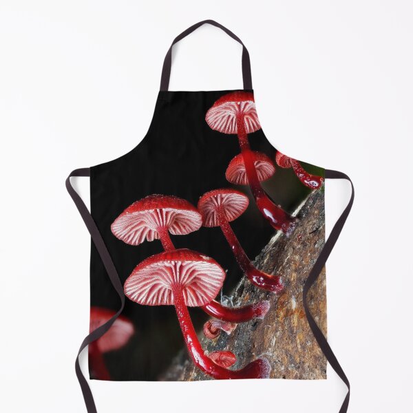 Item preview, Magical Cessna Aircraft Company eForest Mushroom Vibes designed and sold by Peachsocute.