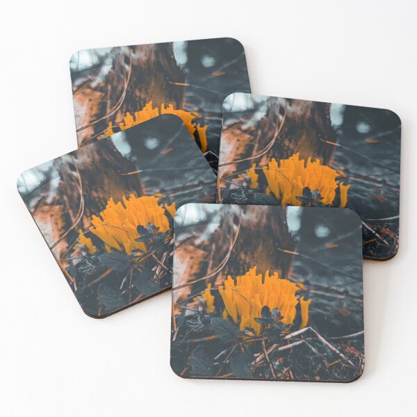 Item preview, Vintage Cessna Aircraft Company bBotanical Mushroom Illustration designed and sold by Peachsocute.