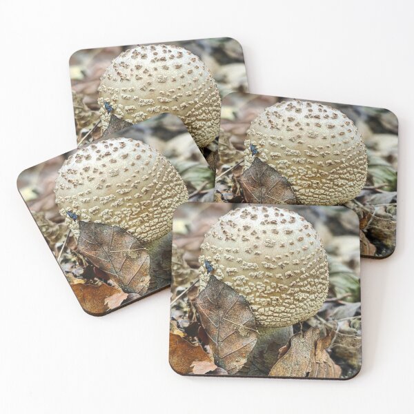 Item preview, Enchanted Cessna Aircraft Company aMushroom Fairy Scene designed and sold by Peachsocute.