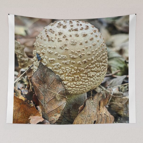 Item preview, Enchanted Cessna Aircraft Company aMushroom Fairy Scene designed and sold by Peachsocute.
