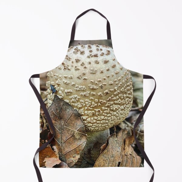 Item preview, Enchanted Cessna Aircraft Company aMushroom Fairy Scene designed and sold by Peachsocute.