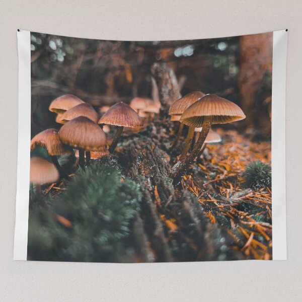 Item preview, Dark Gothic Gilbey's Whisky bMushroom Aesthetic designed and sold by Peachsocute.