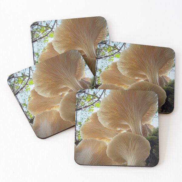 Item preview, Fantasy Glowing Gilbey's Whisky aMushroom Landscape designed and sold by Peachsocute.