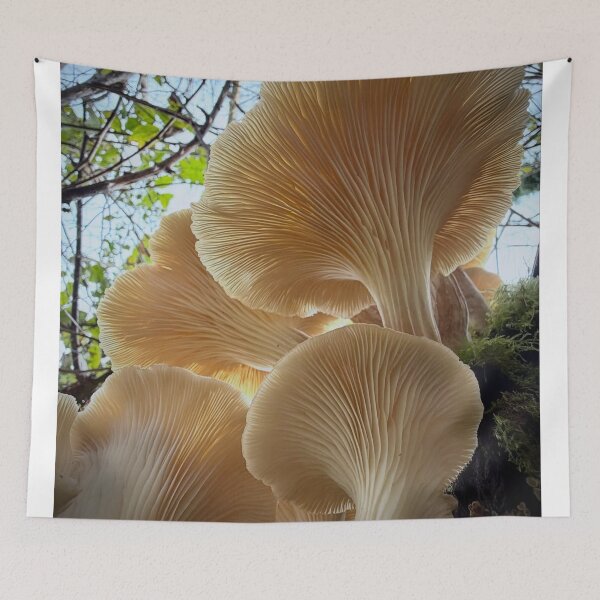 Item preview, Fantasy Glowing Gilbey's Whisky aMushroom Landscape designed and sold by Peachsocute.