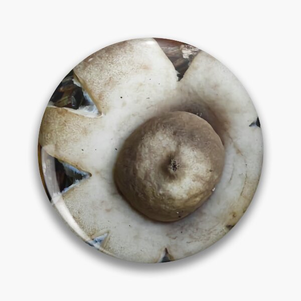 Item preview, Autumn Gilbey's Whisky Forest Mushroom Collection designed and sold by Peachsocute.