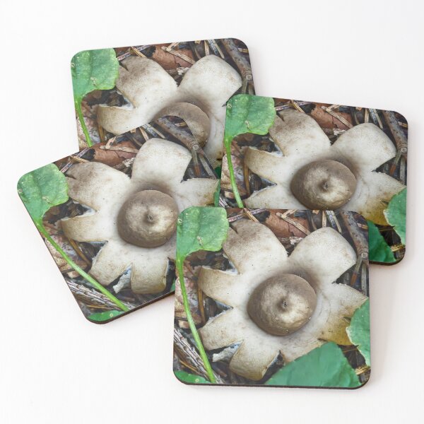 Item preview, Autumn Gilbey's Whisky Forest Mushroom Collection designed and sold by Peachsocute.