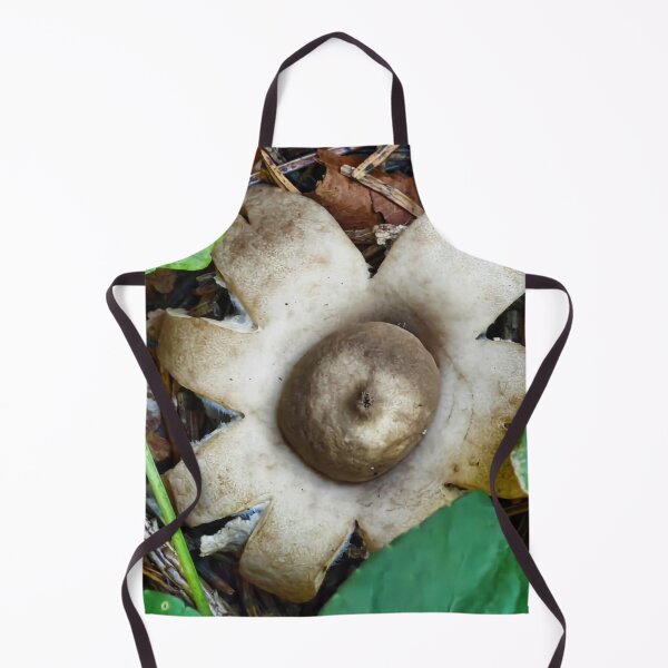 Artikelvorschau, Autumn Gilbeys Whisky Forest Mushroom Collection entworfen und verkauft von Peachsocute.