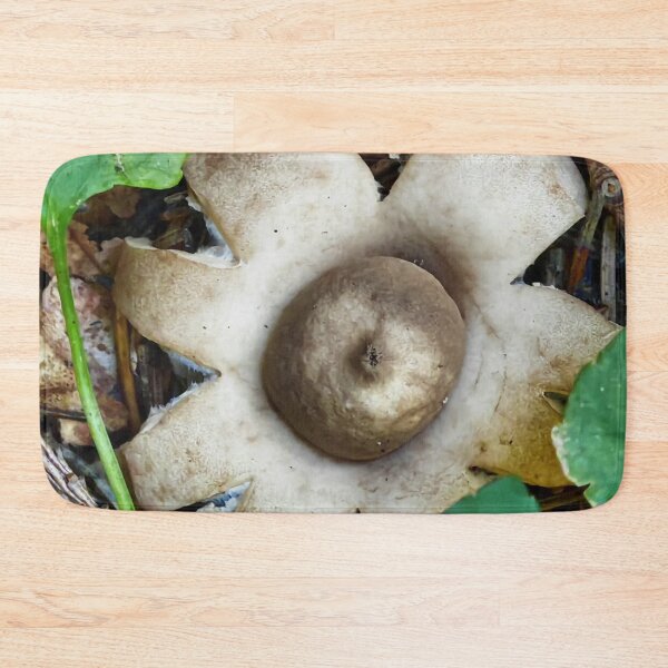 Item preview, Autumn Gilbey's Whisky Forest Mushroom Collection designed and sold by Peachsocute.