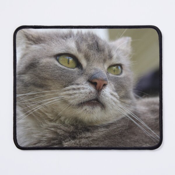 Item preview, Queen of cats designed and sold by McFleur's Lens.
