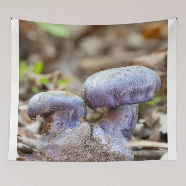Item preview, Cottagecore Monuments Band aMushroom Forest Charm designed and sold by Peachsocute.