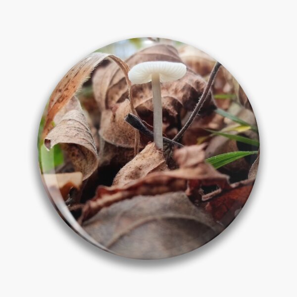 Item preview, Mushroom HammerFall Typography Creative Blend designed and sold by Peachsocute.