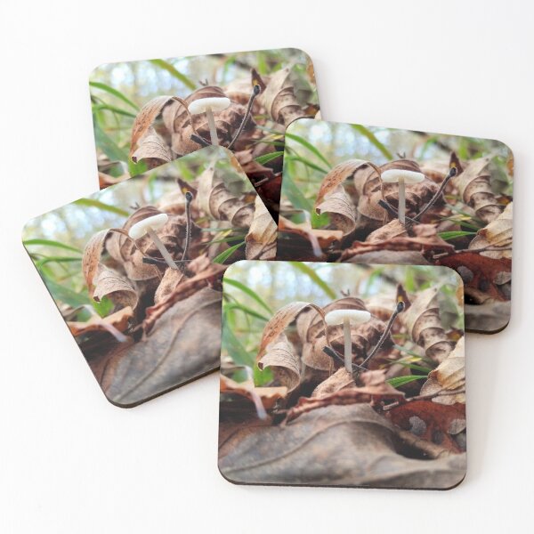 Item preview, Mushroom HammerFall Typography Creative Blend designed and sold by Peachsocute.