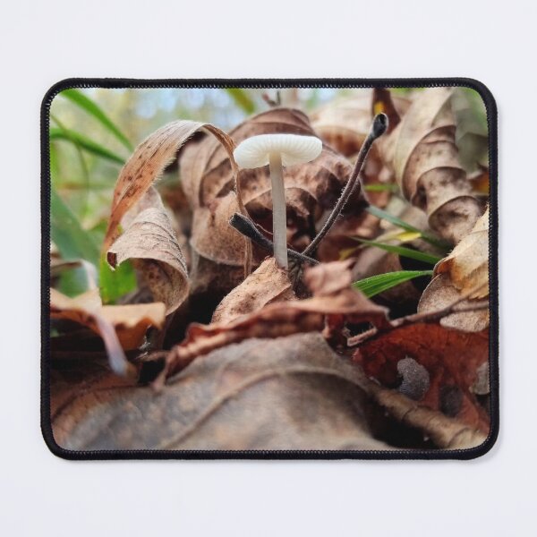 Item preview, Mushroom HammerFall Typography Creative Blend designed and sold by Peachsocute.