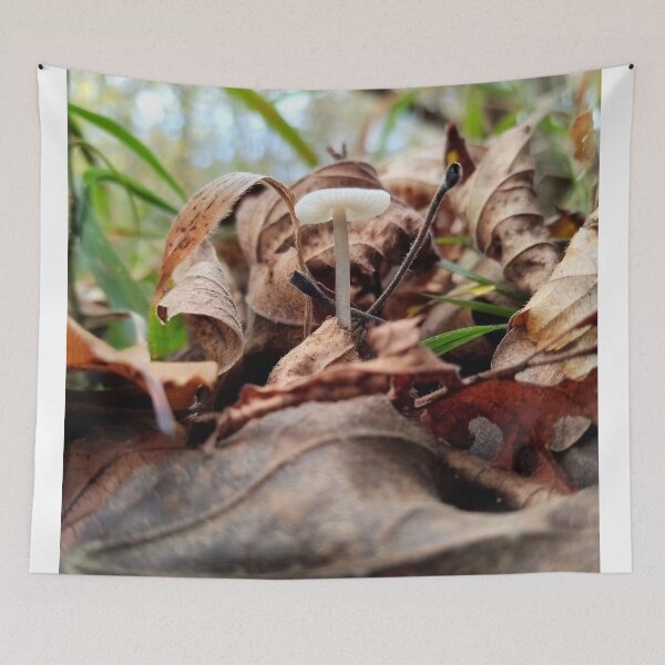 Item preview, Mushroom HammerFall Typography Creative Blend designed and sold by Peachsocute.