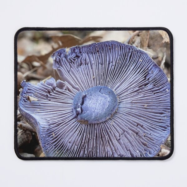 Item preview, Forest Shiseido Cosmetics eFloor Mushroom Detail designed and sold by Peachsocute.