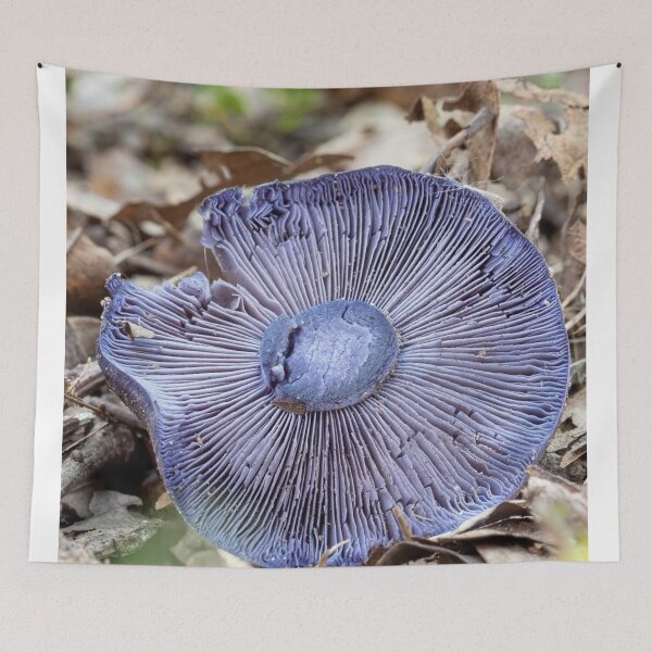 Item preview, Forest Shiseido Cosmetics eFloor Mushroom Detail designed and sold by Peachsocute.